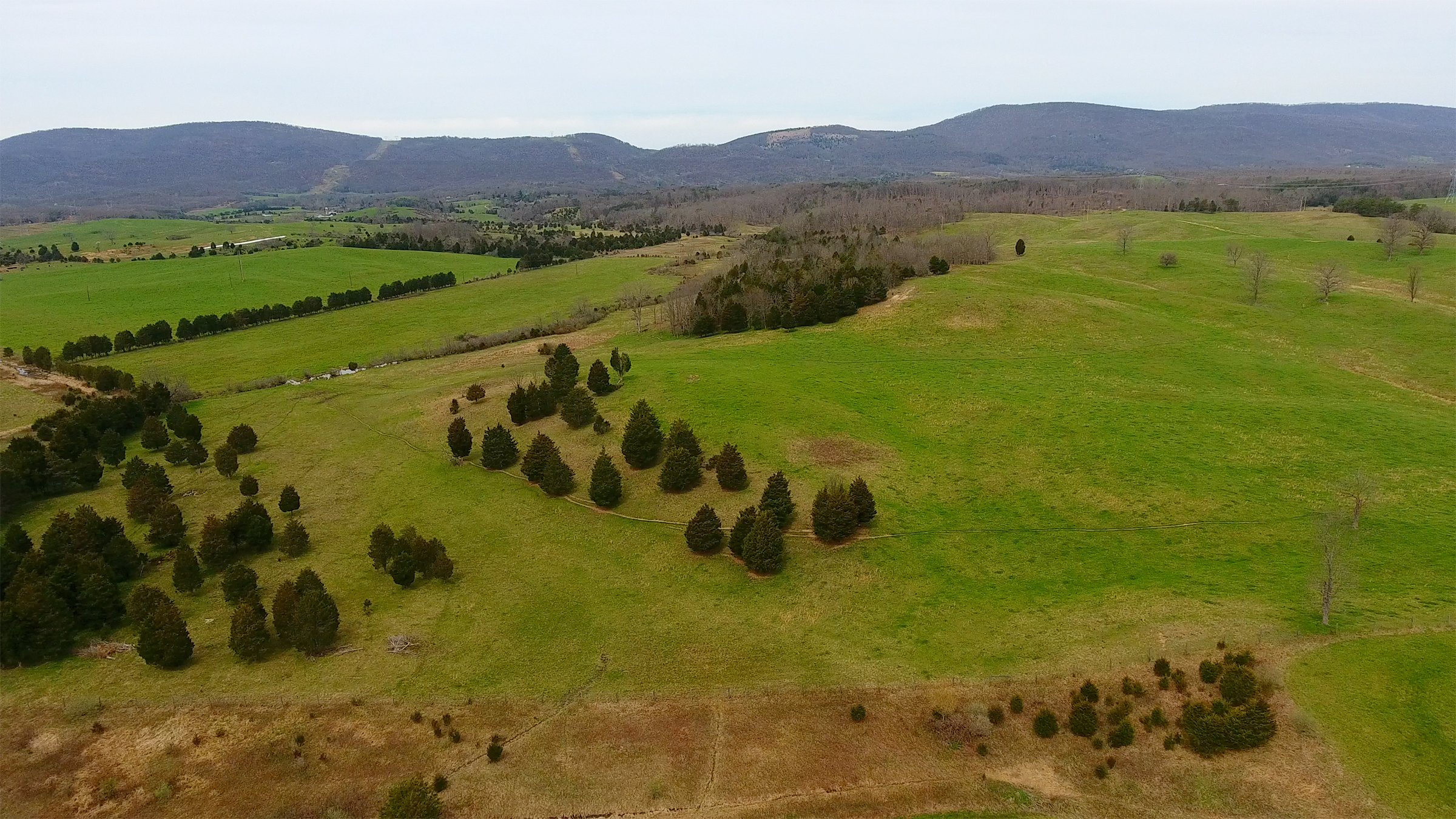 Property photo 21 - LAND AUCTION - 533+/- ACRES OFFERED IN 5 TRACTS IN HARDY COUNTY, WEST VIRGINIA